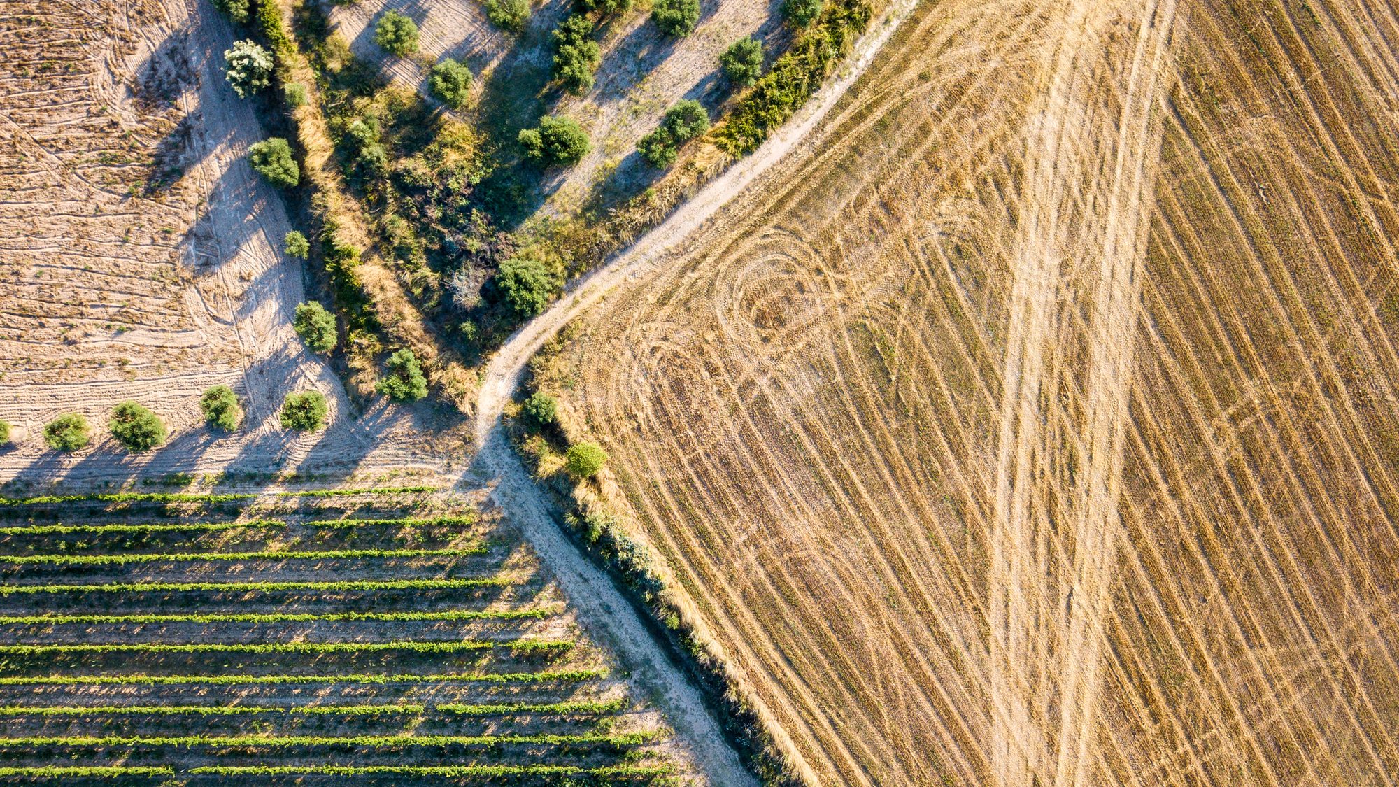 [Sustainable] Aerial arigriculture